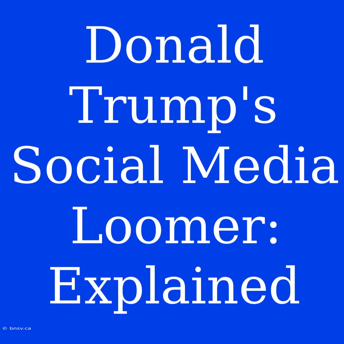 Donald Trump's Social Media Loomer: Explained