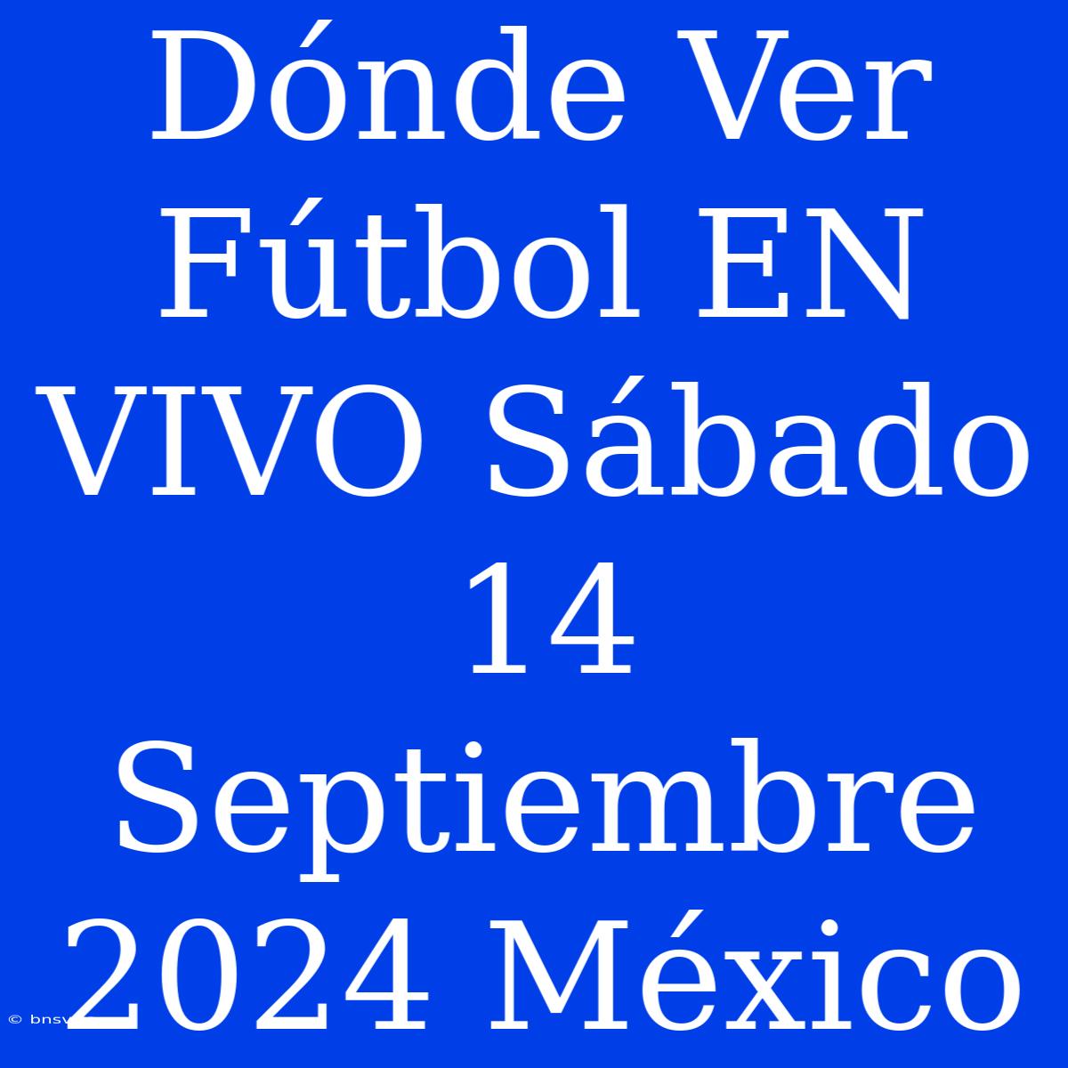 Dónde Ver Fútbol EN VIVO Sábado 14 Septiembre 2024 México