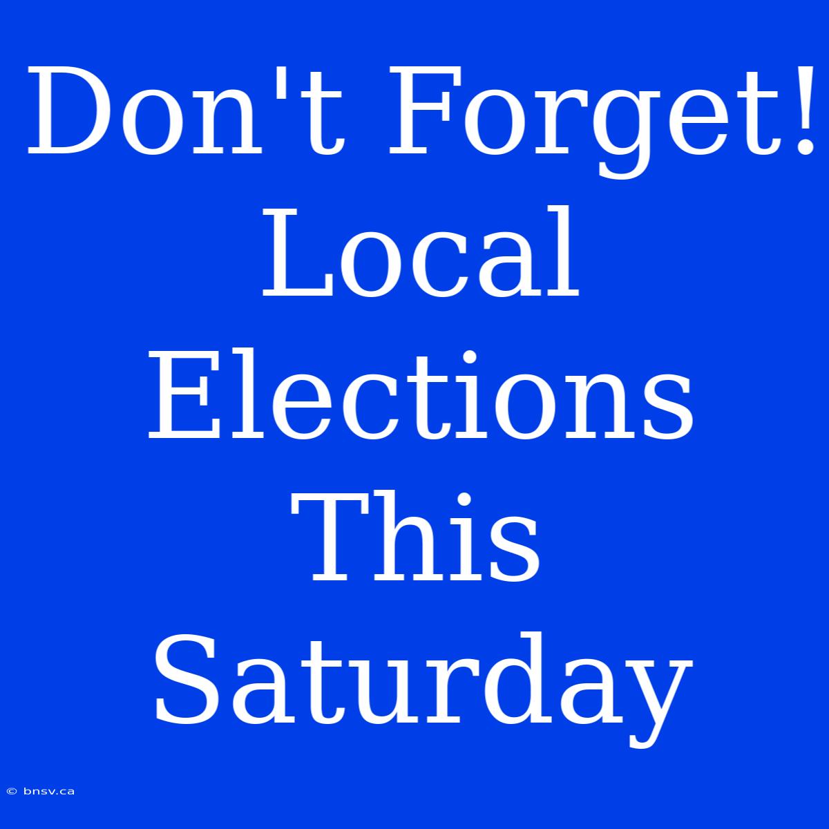 Don't Forget! Local Elections This Saturday