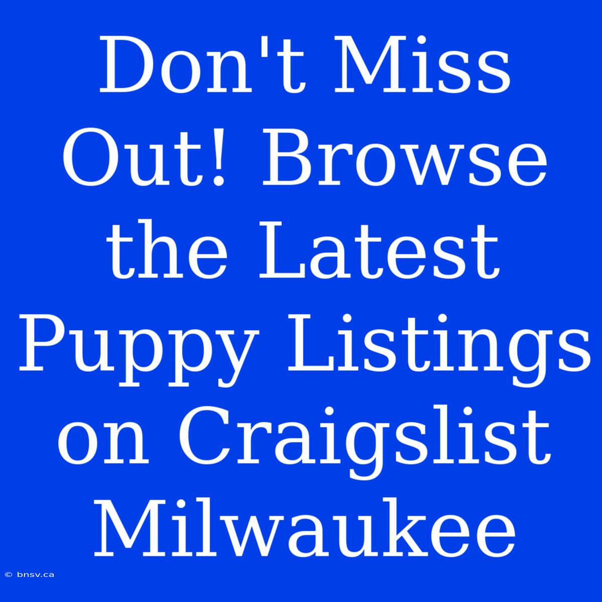 Don't Miss Out! Browse The Latest Puppy Listings On Craigslist Milwaukee