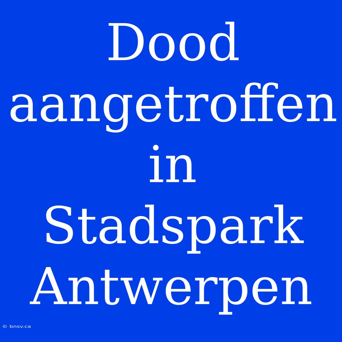 Dood Aangetroffen In Stadspark Antwerpen