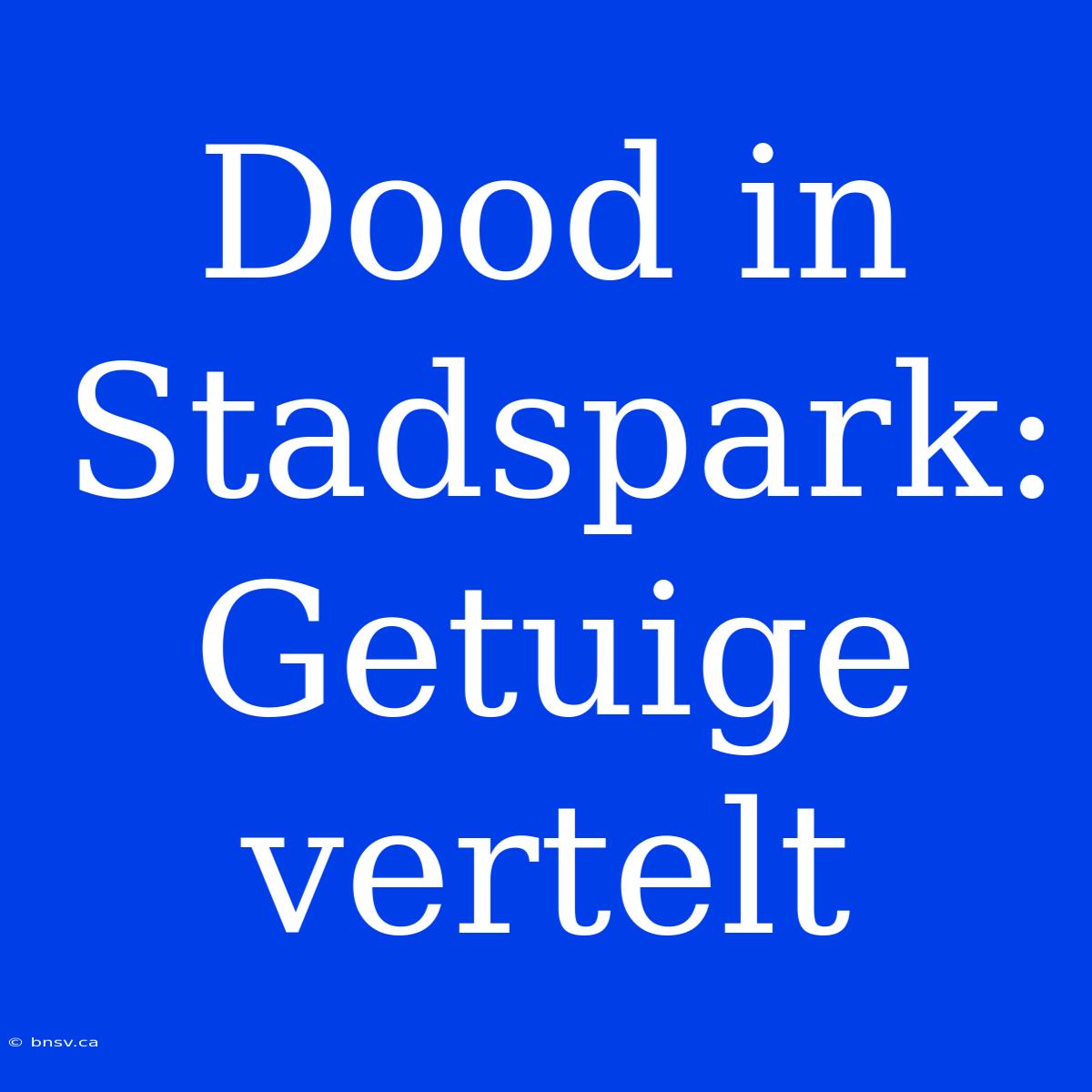 Dood In Stadspark: Getuige Vertelt