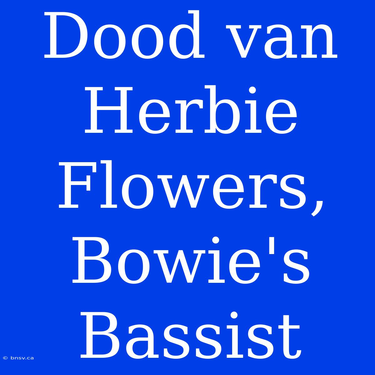 Dood Van Herbie Flowers, Bowie's Bassist