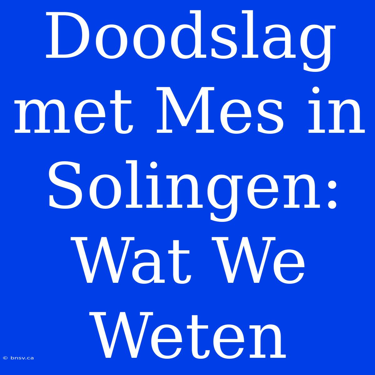 Doodslag Met Mes In Solingen: Wat We Weten