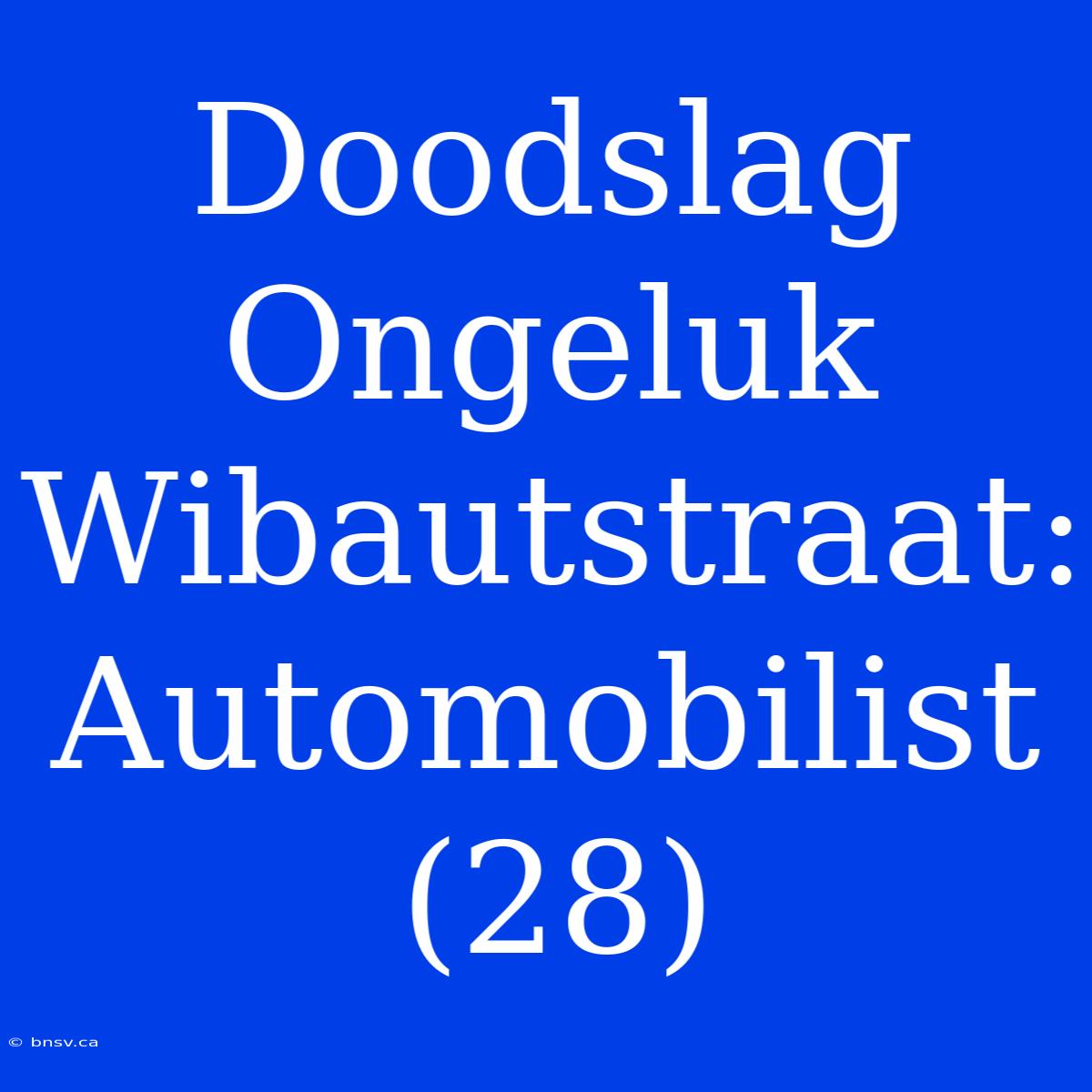 Doodslag Ongeluk Wibautstraat: Automobilist (28)