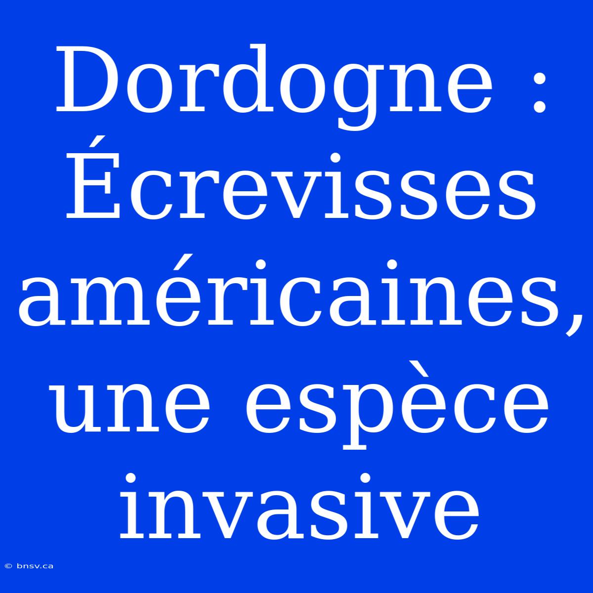 Dordogne : Écrevisses Américaines, Une Espèce Invasive