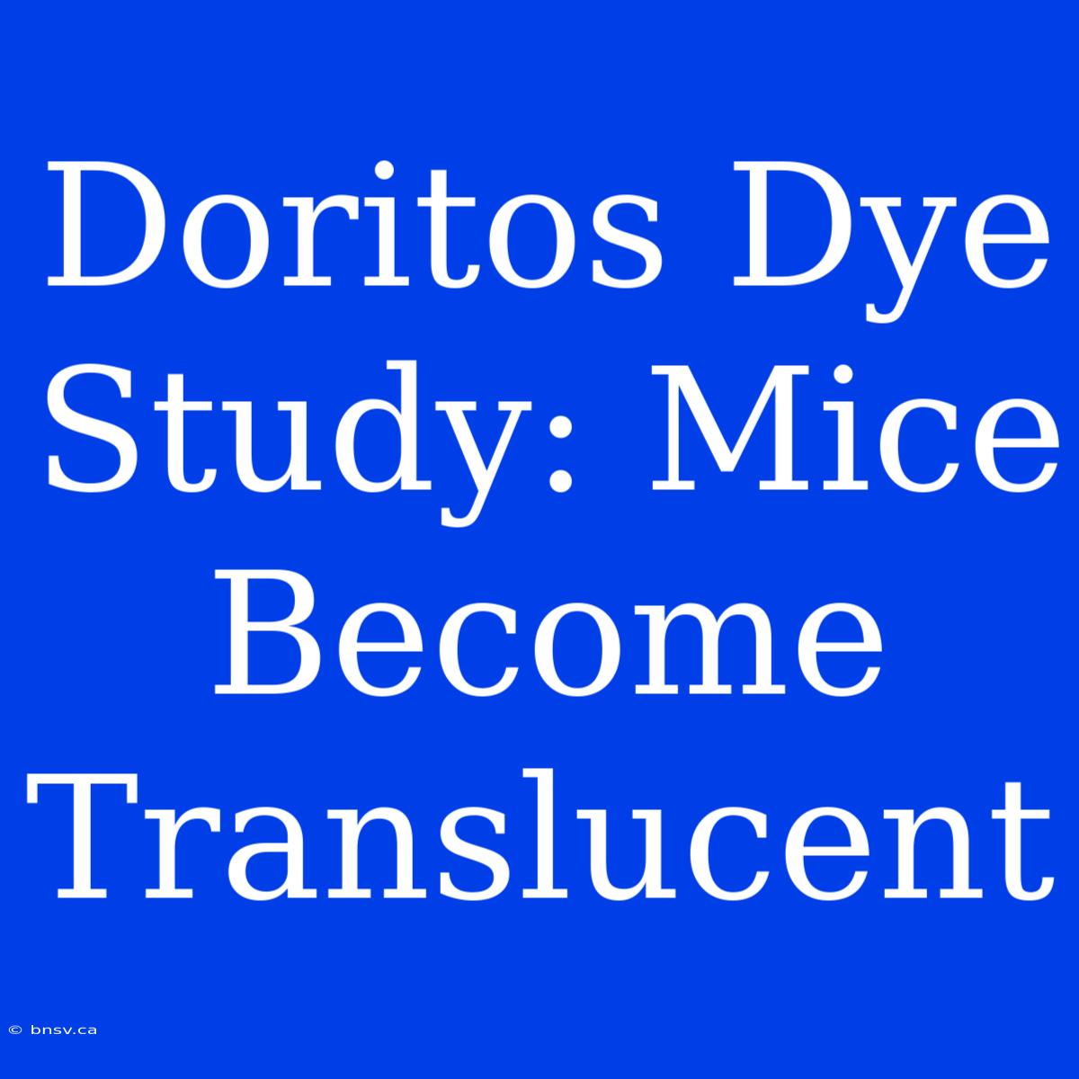 Doritos Dye Study: Mice Become Translucent