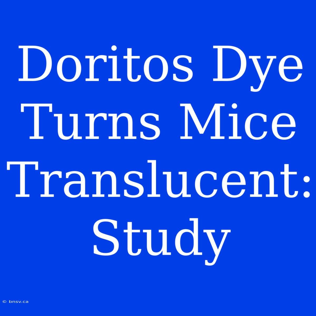 Doritos Dye Turns Mice Translucent: Study