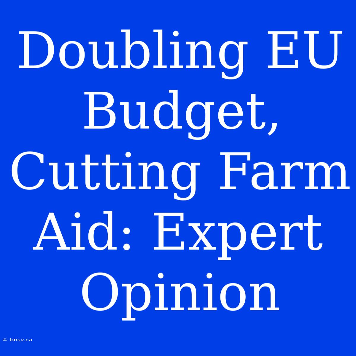 Doubling EU Budget, Cutting Farm Aid: Expert Opinion