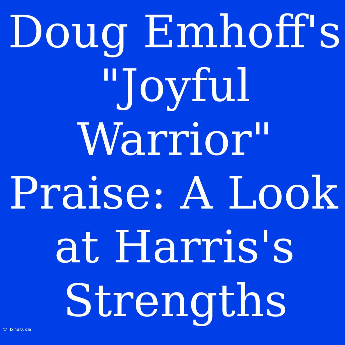 Doug Emhoff's 