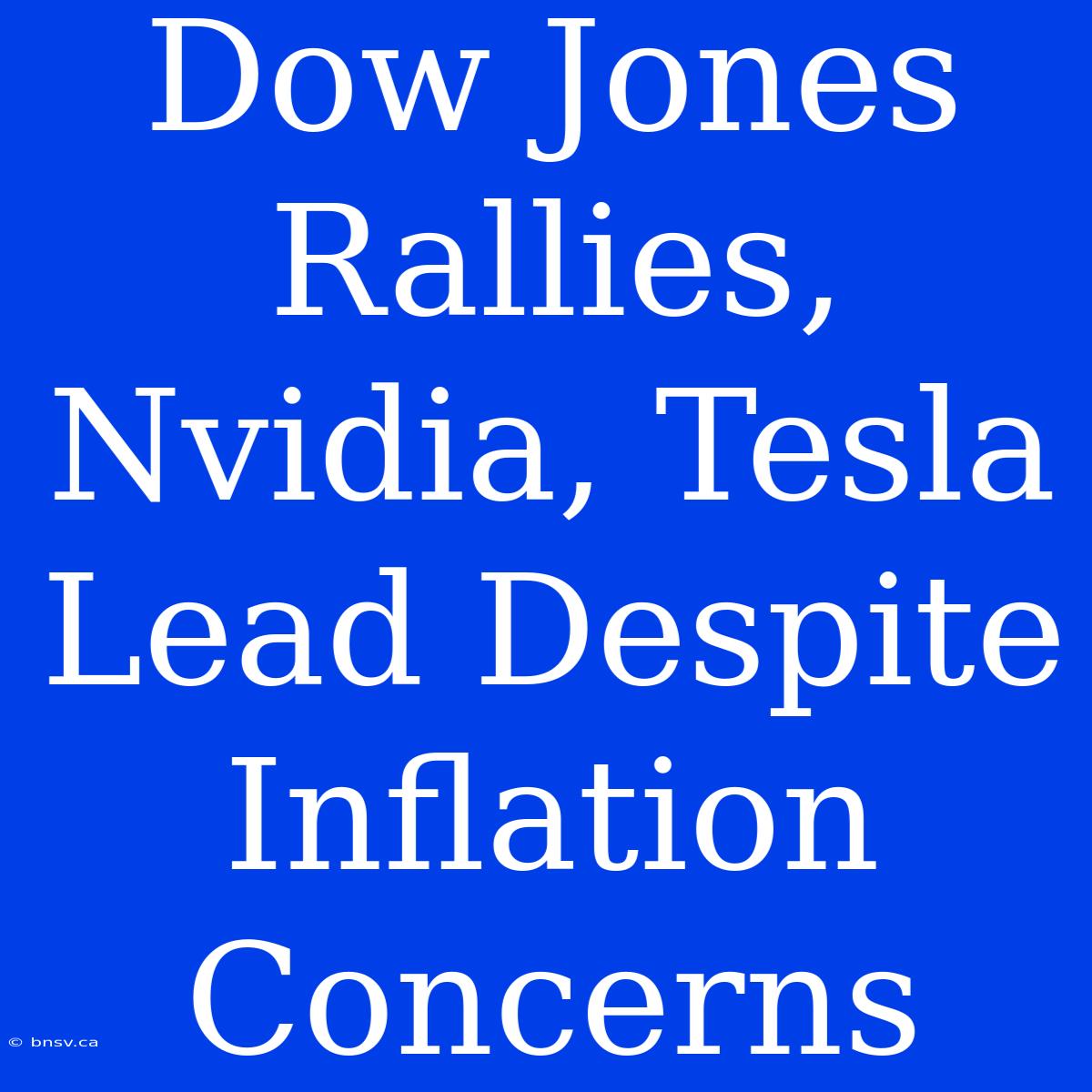 Dow Jones Rallies, Nvidia, Tesla Lead Despite Inflation Concerns