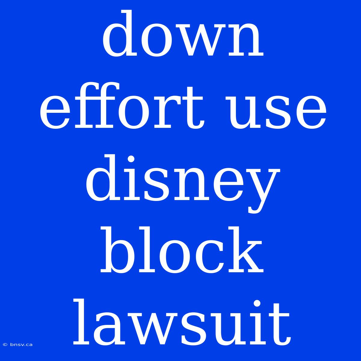 Down Effort Use Disney Block Lawsuit