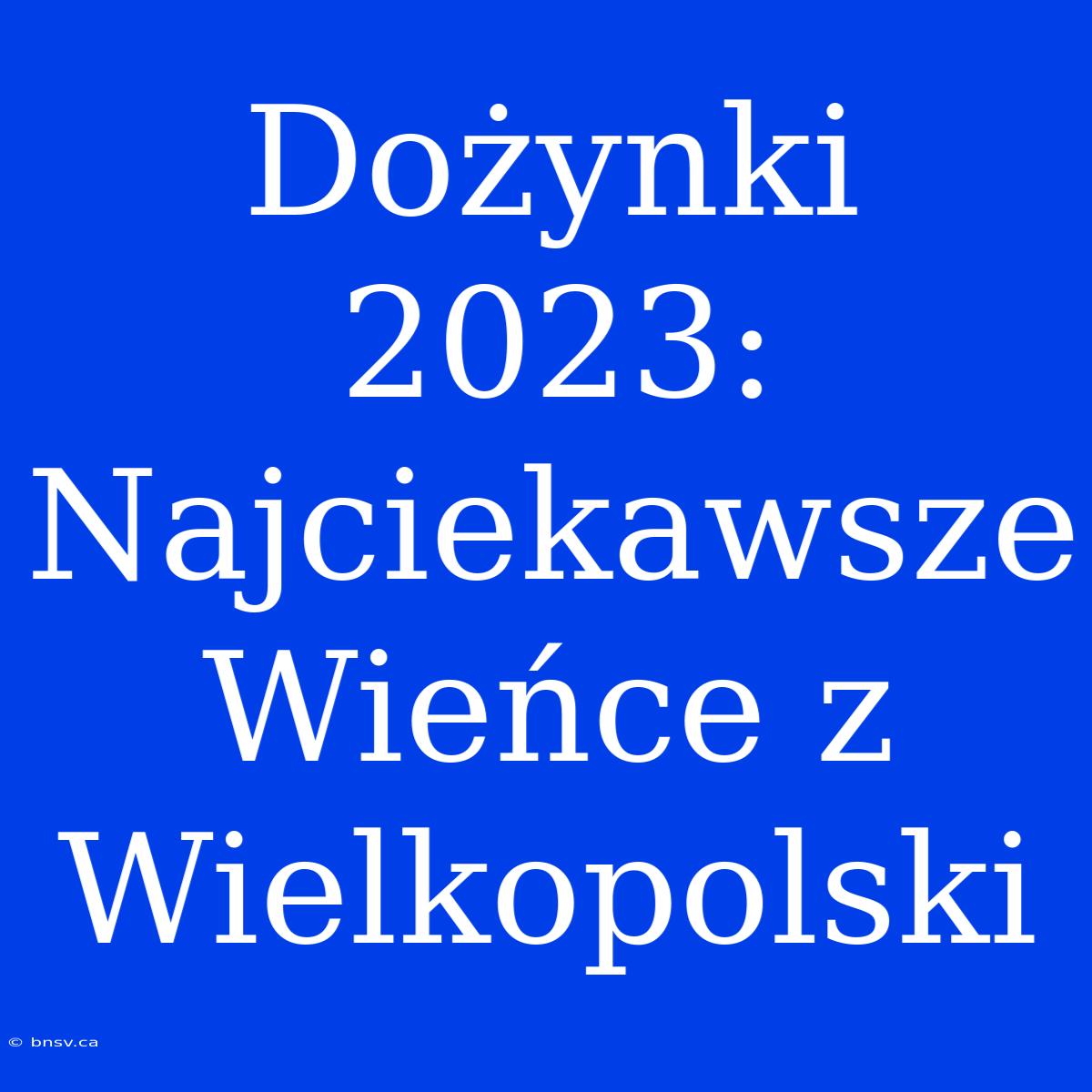 Dożynki 2023: Najciekawsze Wieńce Z Wielkopolski