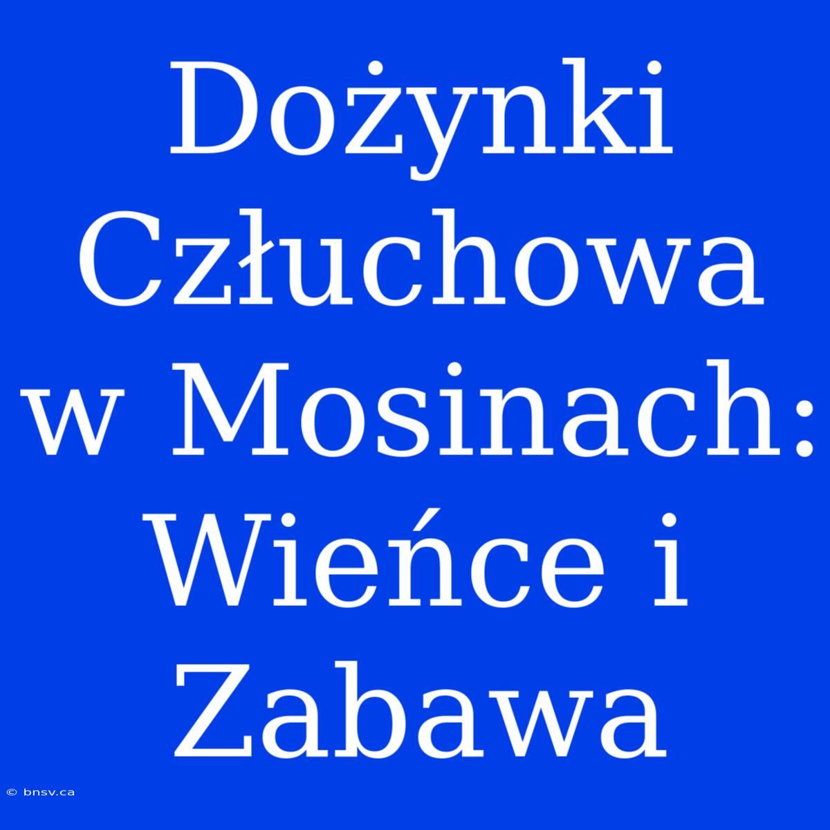 Dożynki Człuchowa W Mosinach: Wieńce I Zabawa