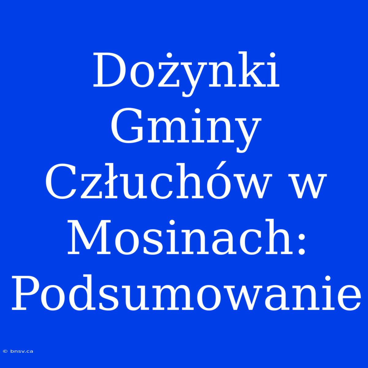 Dożynki Gminy Człuchów W Mosinach: Podsumowanie