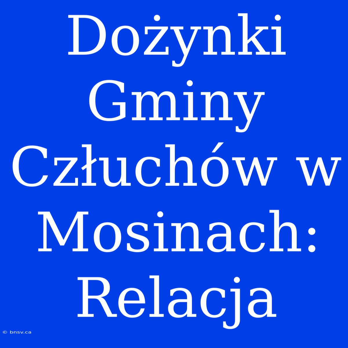 Dożynki Gminy Człuchów W Mosinach: Relacja