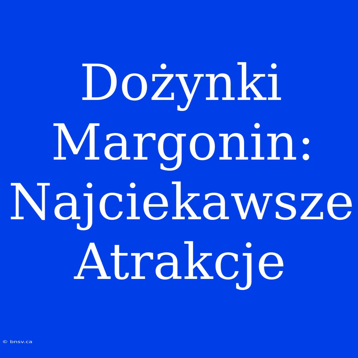 Dożynki Margonin: Najciekawsze Atrakcje