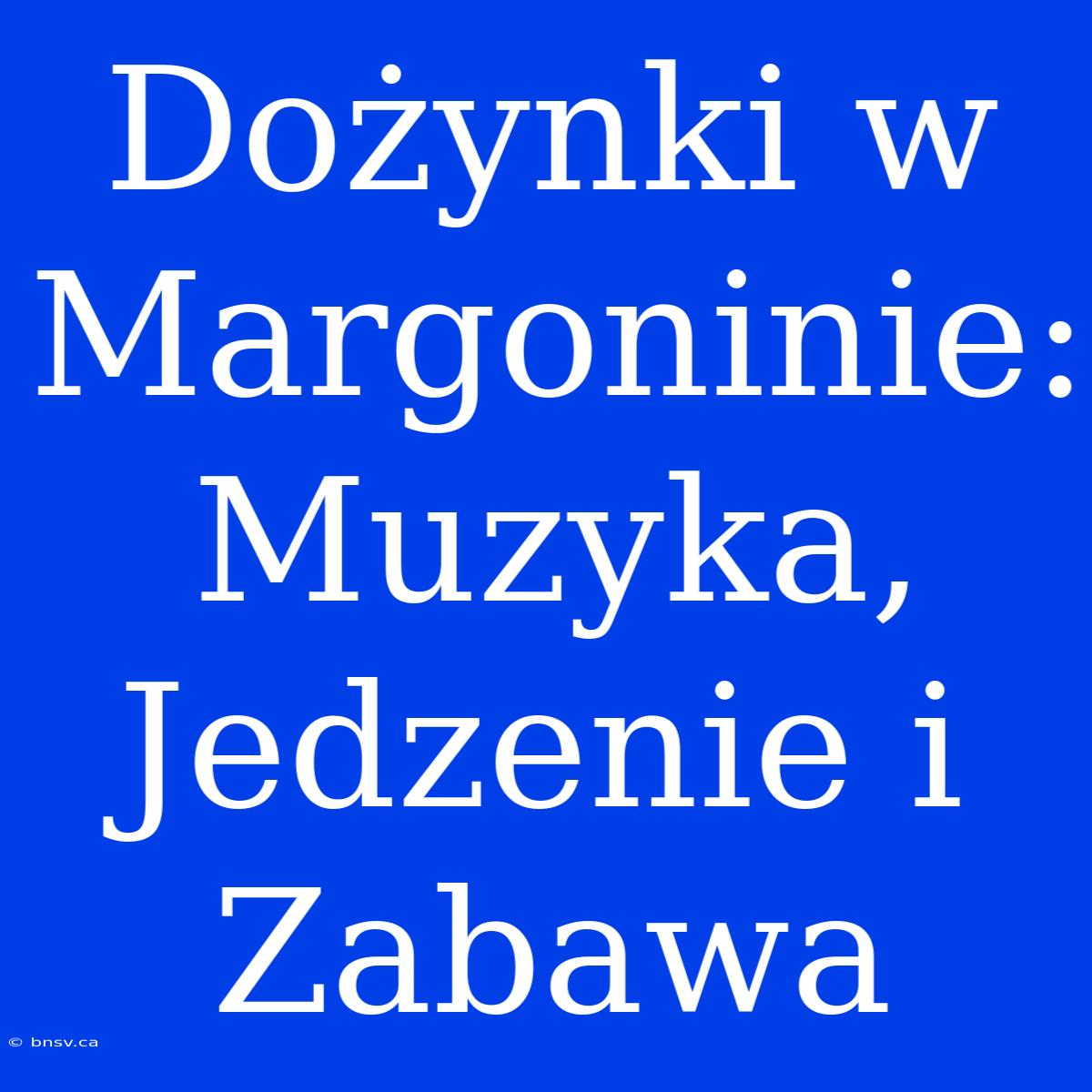 Dożynki W Margoninie: Muzyka, Jedzenie I Zabawa