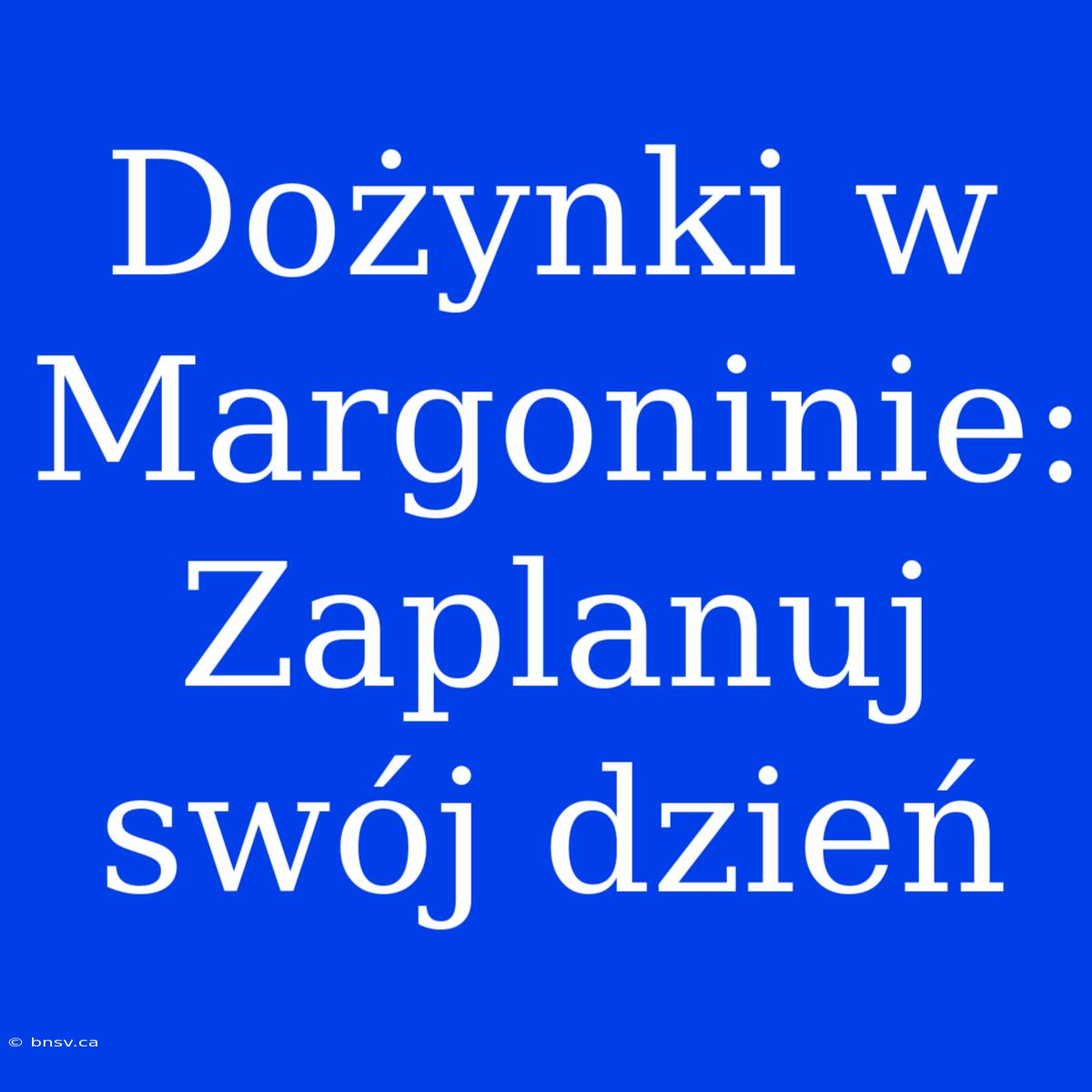 Dożynki W Margoninie: Zaplanuj Swój Dzień