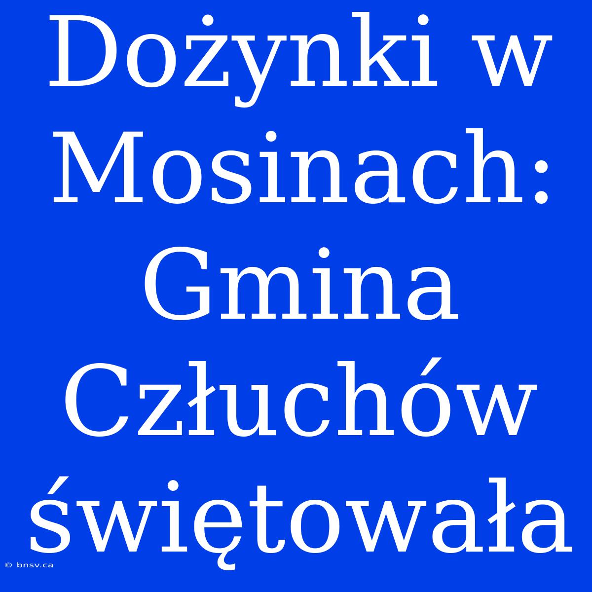 Dożynki W Mosinach: Gmina Człuchów Świętowała