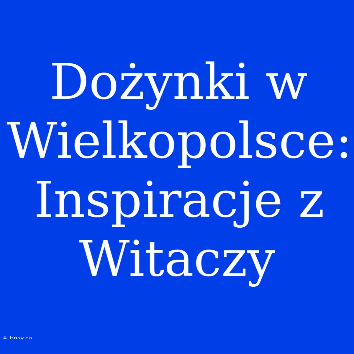 Dożynki W Wielkopolsce: Inspiracje Z Witaczy