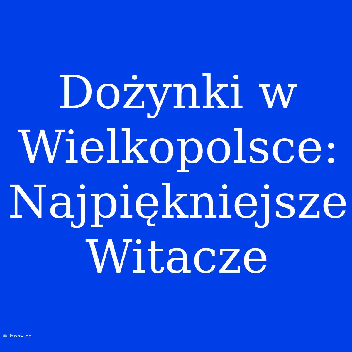 Dożynki W Wielkopolsce: Najpiękniejsze Witacze