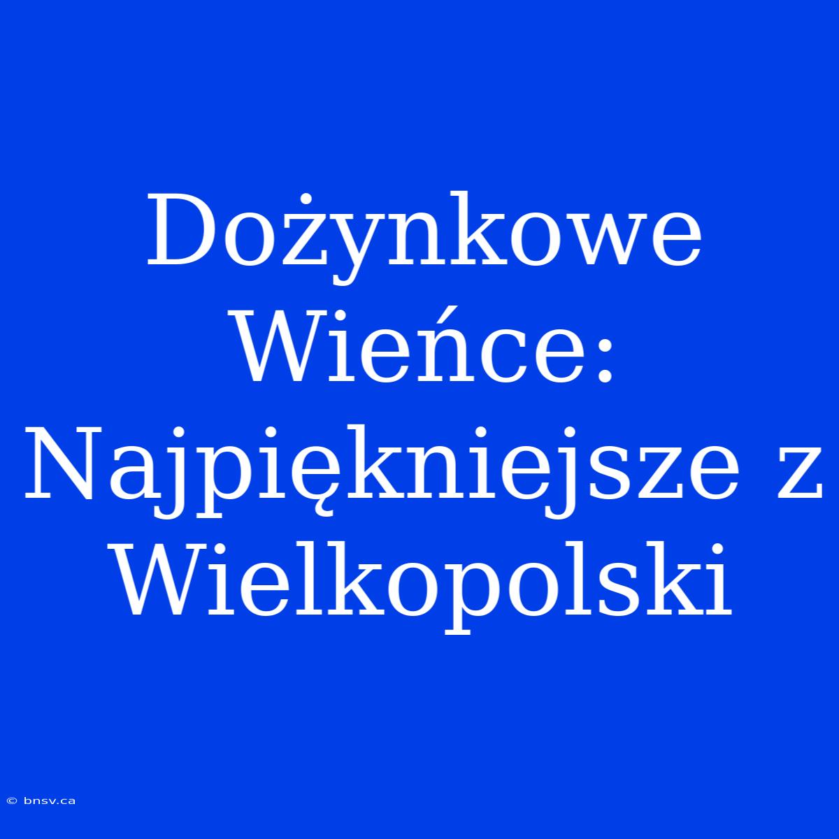 Dożynkowe Wieńce: Najpiękniejsze Z Wielkopolski