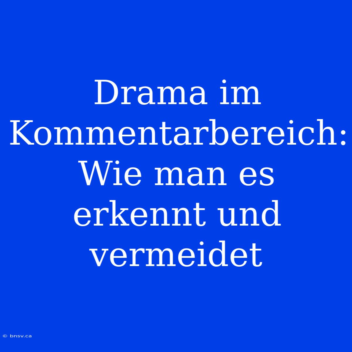 Drama Im Kommentarbereich: Wie Man Es Erkennt Und Vermeidet