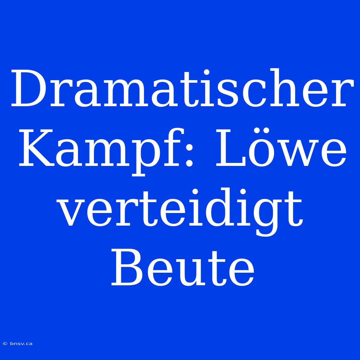 Dramatischer Kampf: Löwe Verteidigt Beute