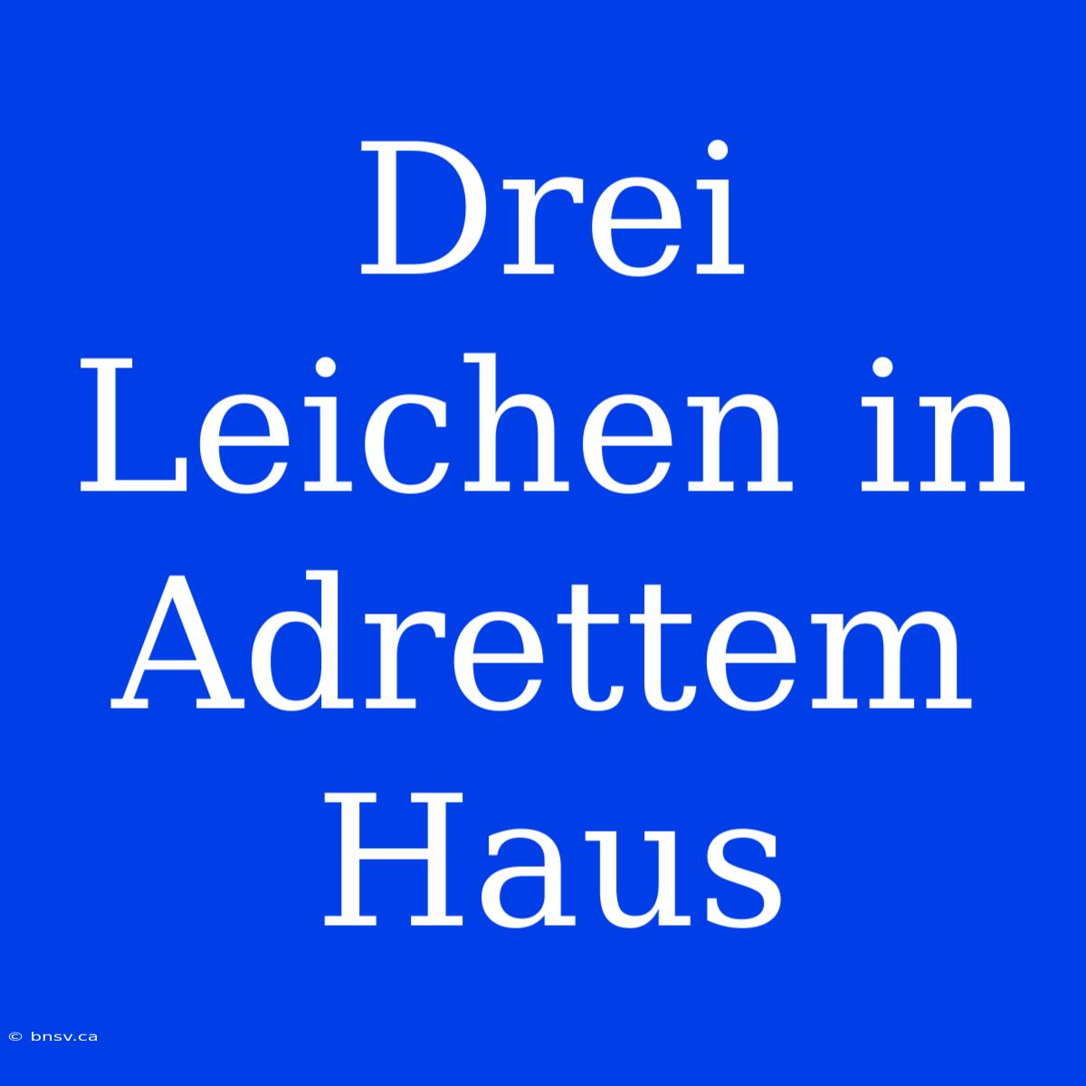 Drei Leichen In Adrettem Haus