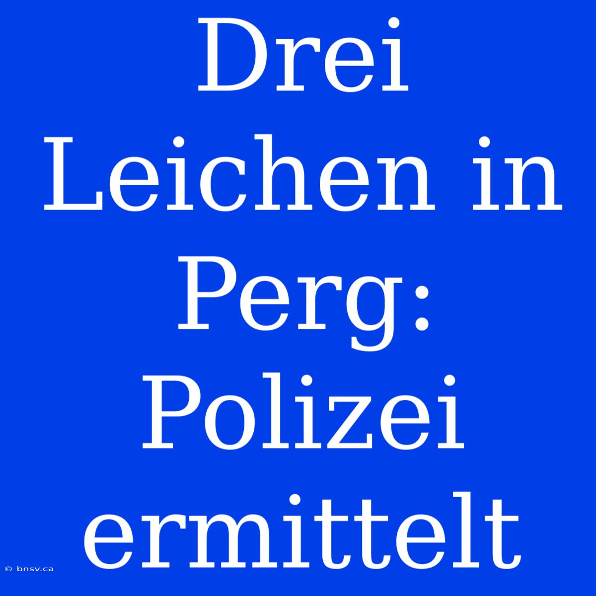 Drei Leichen In Perg: Polizei Ermittelt