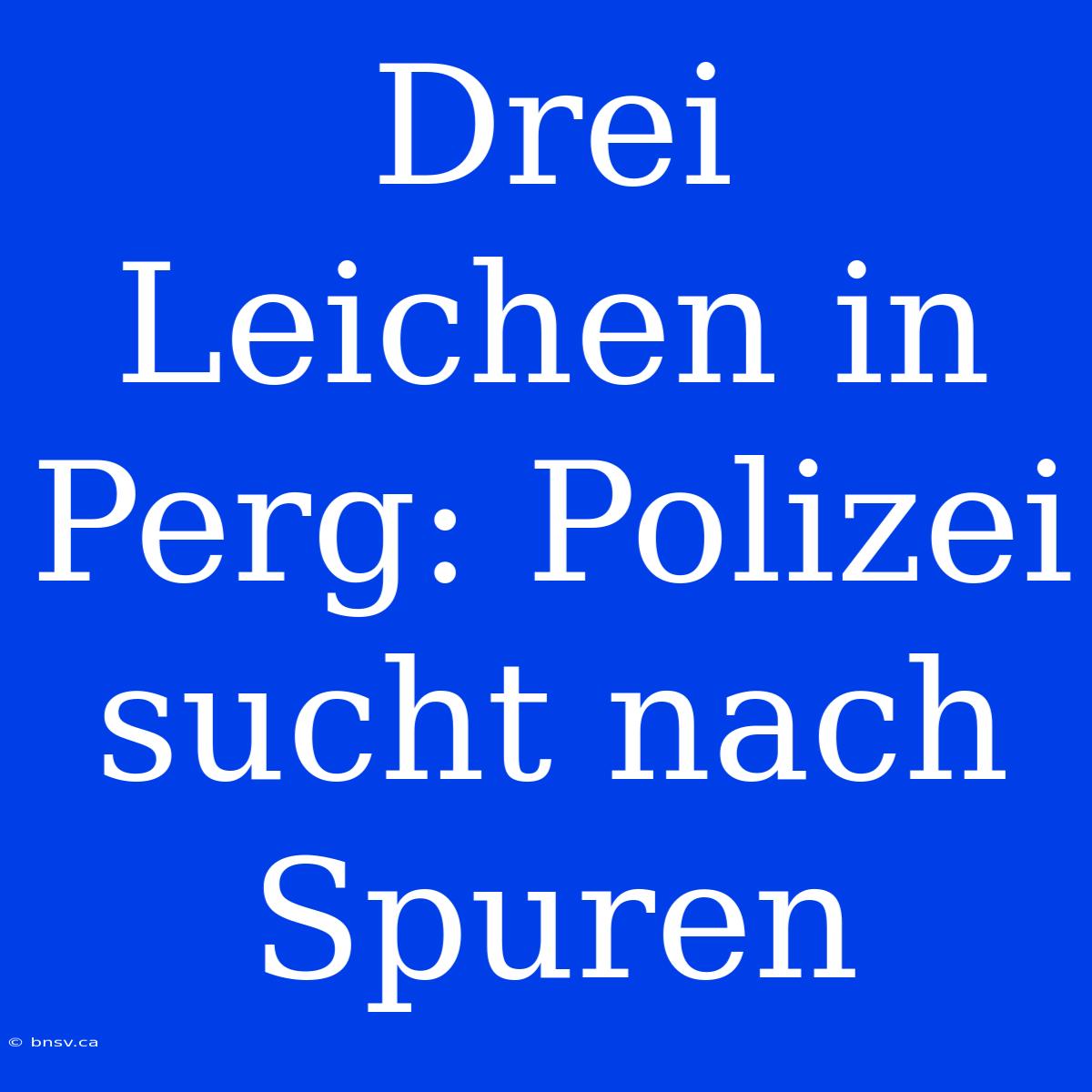 Drei Leichen In Perg: Polizei Sucht Nach Spuren