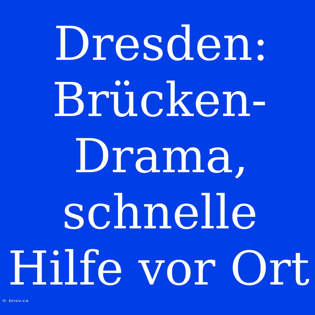 Dresden: Brücken-Drama, Schnelle Hilfe Vor Ort