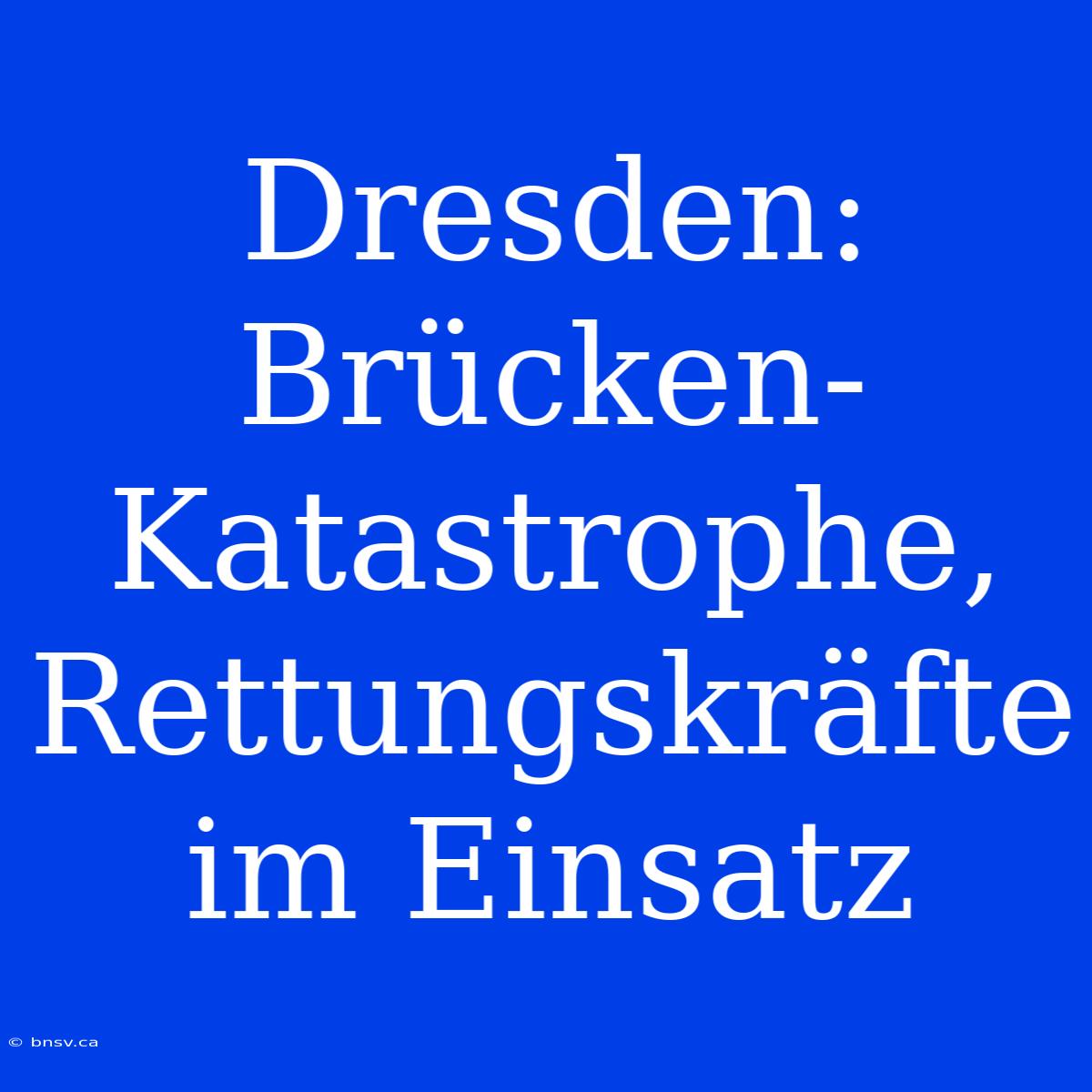 Dresden: Brücken-Katastrophe, Rettungskräfte Im Einsatz