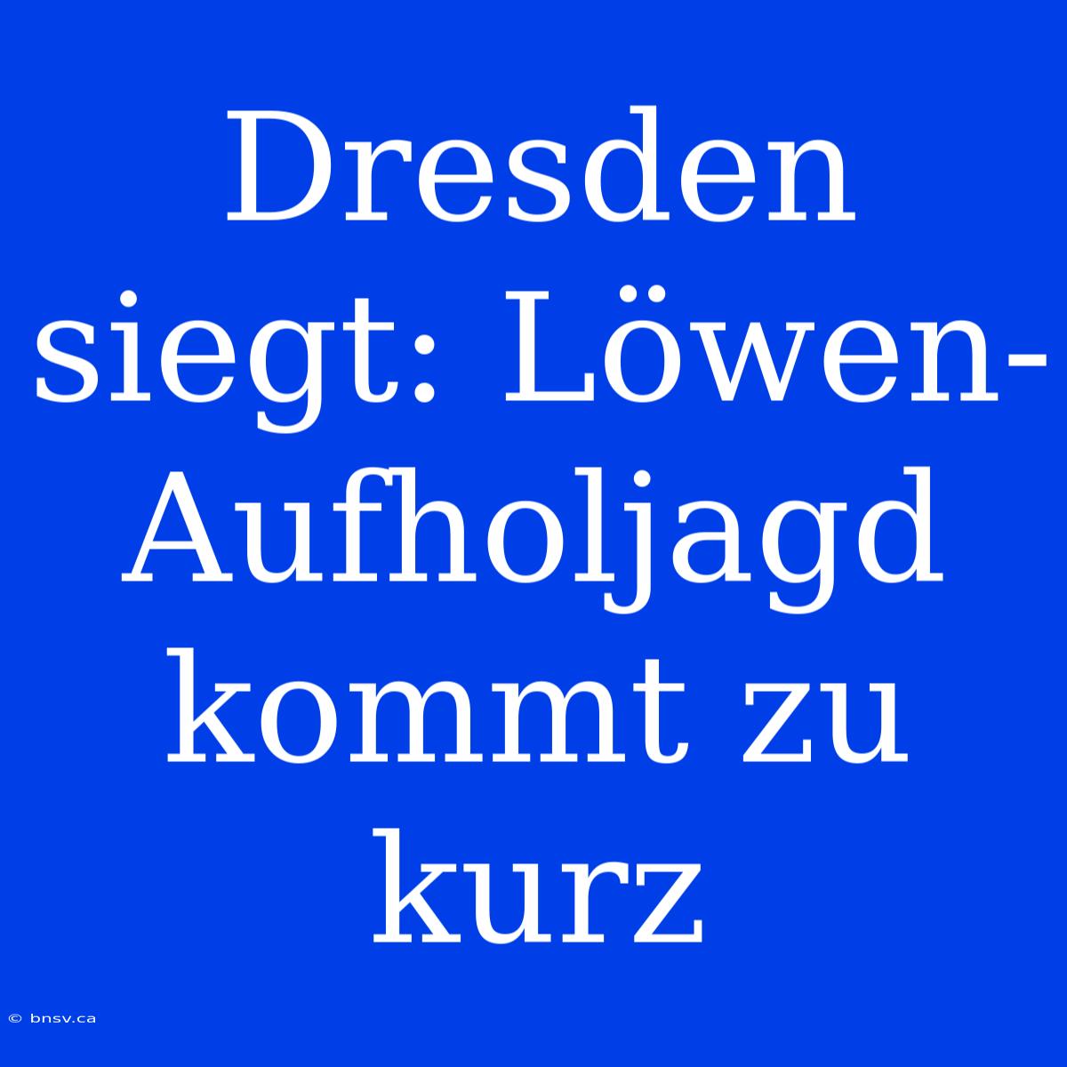 Dresden Siegt: Löwen-Aufholjagd Kommt Zu Kurz