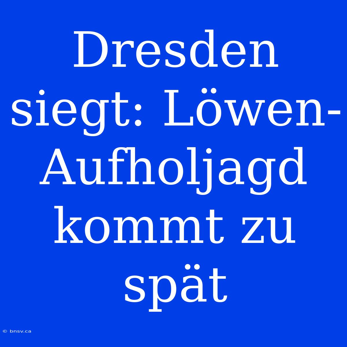 Dresden Siegt: Löwen-Aufholjagd Kommt Zu Spät