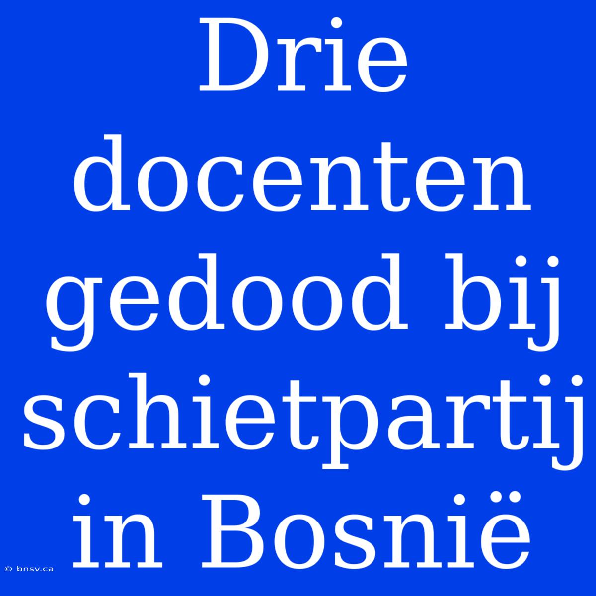 Drie Docenten Gedood Bij Schietpartij In Bosnië