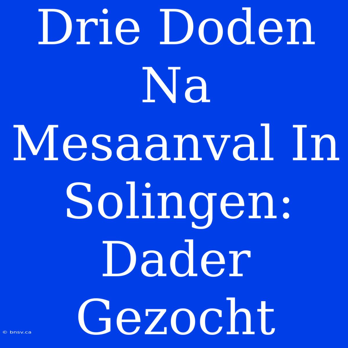 Drie Doden Na Mesaanval In Solingen: Dader Gezocht