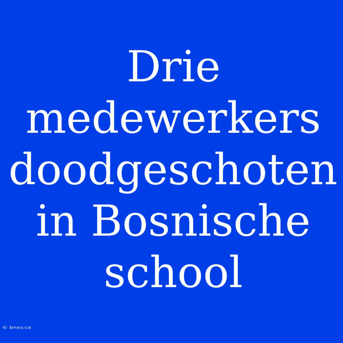 Drie Medewerkers Doodgeschoten In Bosnische School