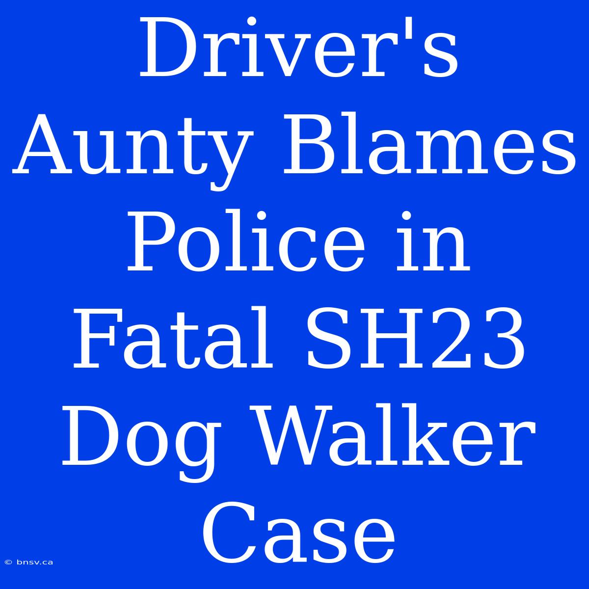 Driver's Aunty Blames Police In Fatal SH23 Dog Walker Case