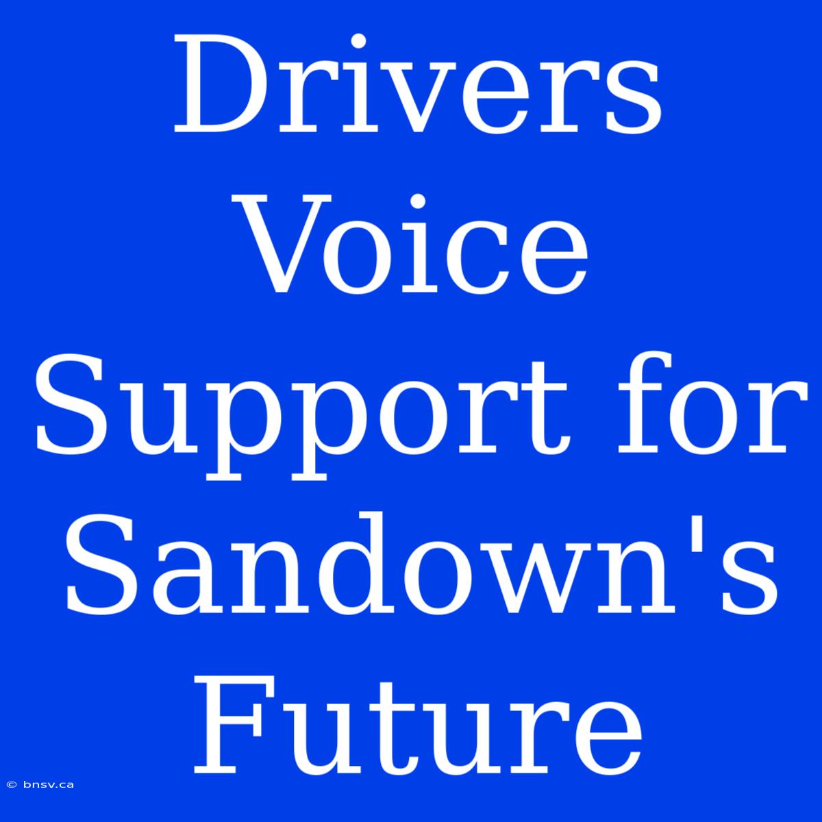 Drivers Voice Support For Sandown's Future