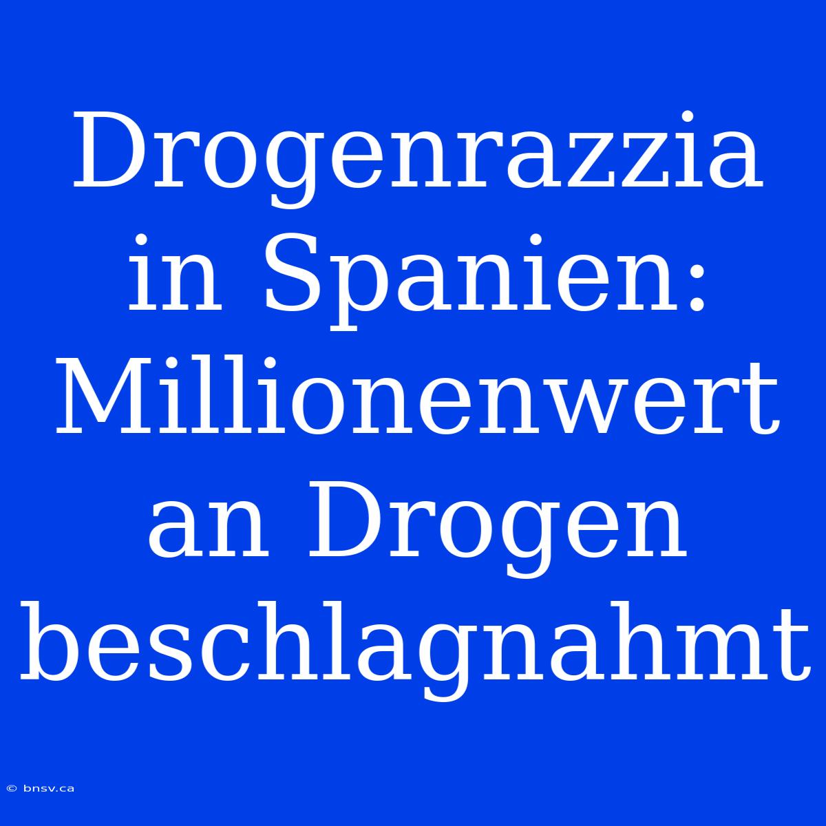 Drogenrazzia In Spanien: Millionenwert An Drogen Beschlagnahmt