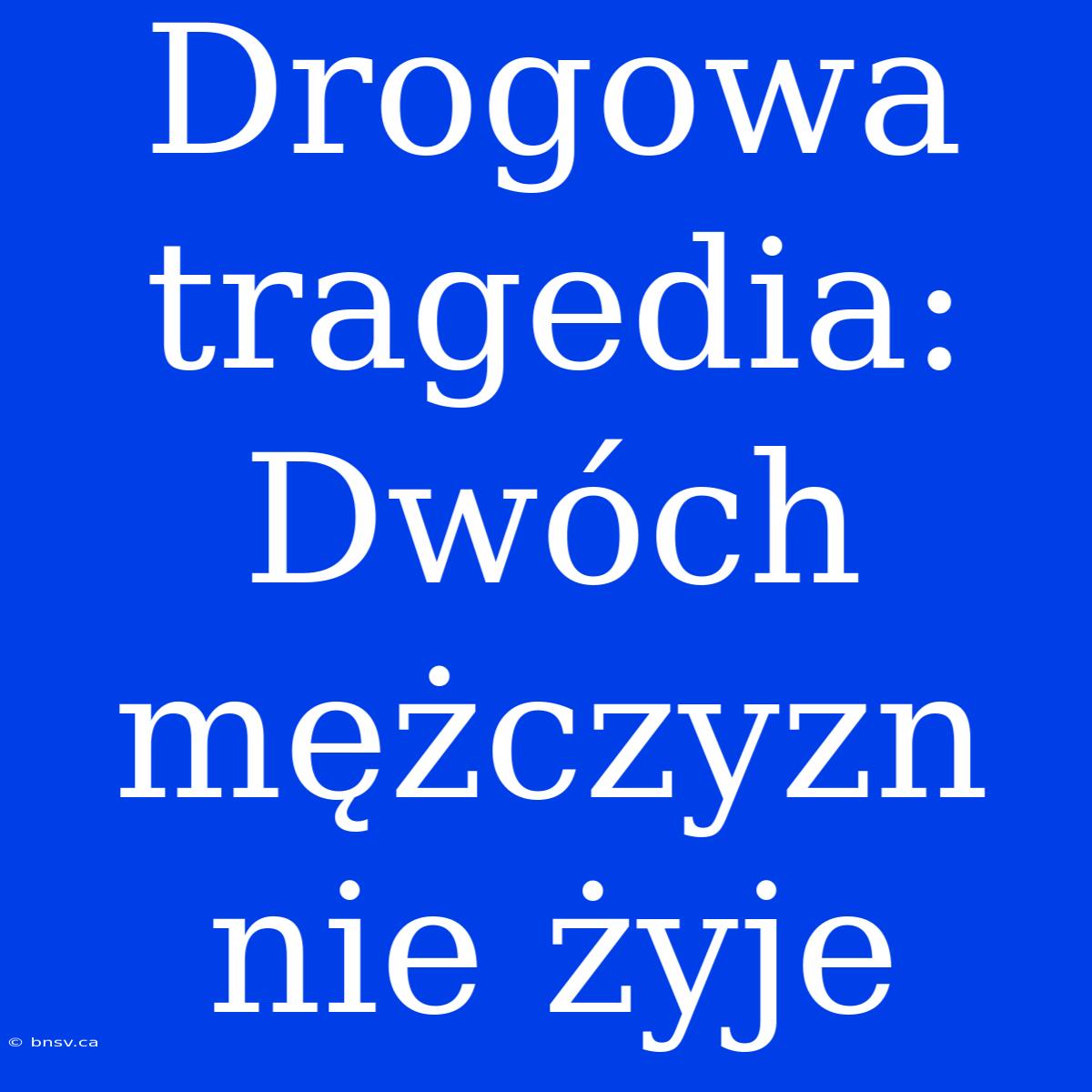 Drogowa Tragedia: Dwóch Mężczyzn Nie Żyje