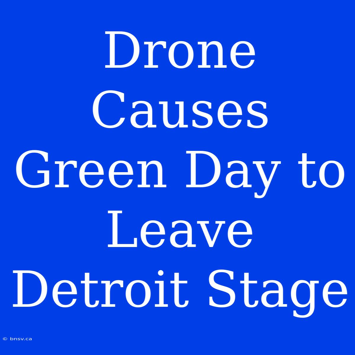 Drone Causes Green Day To Leave Detroit Stage