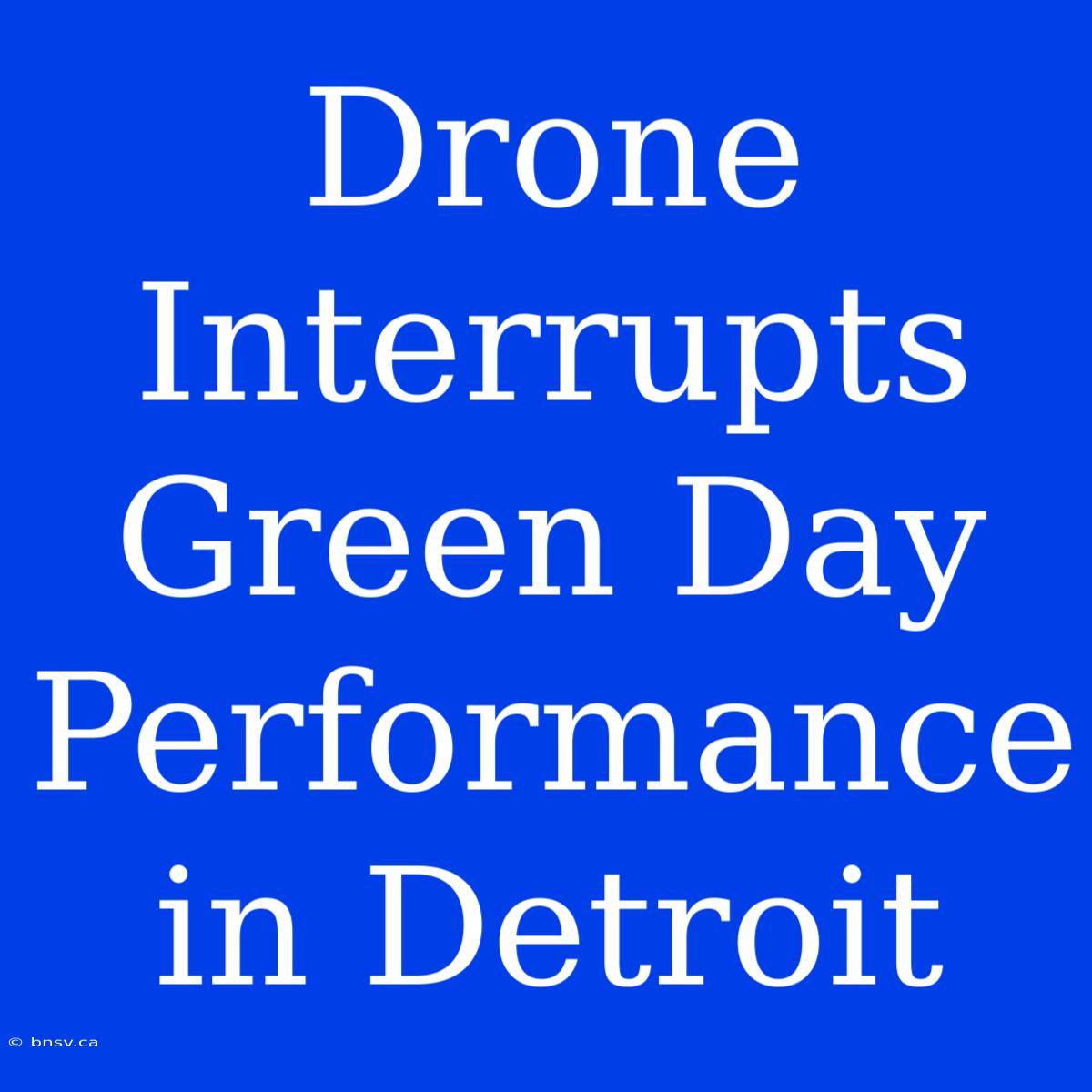 Drone Interrupts Green Day Performance In Detroit