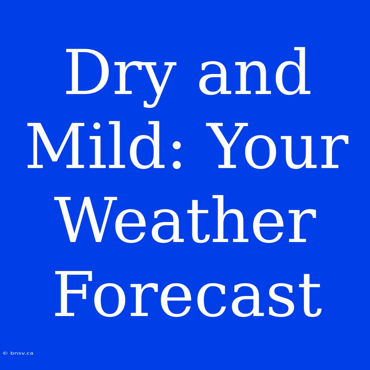 Dry And Mild: Your Weather Forecast