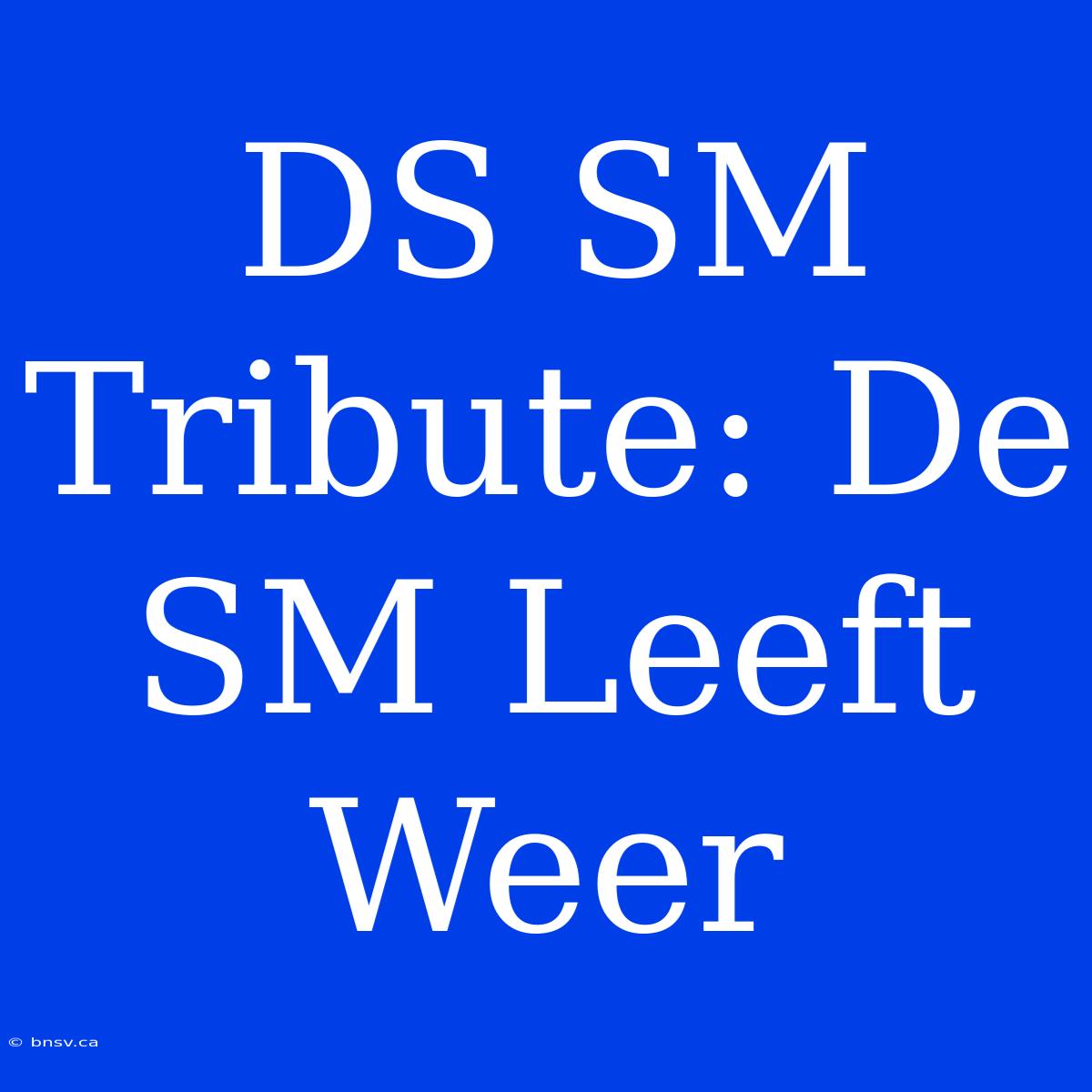 DS SM Tribute: De SM Leeft Weer