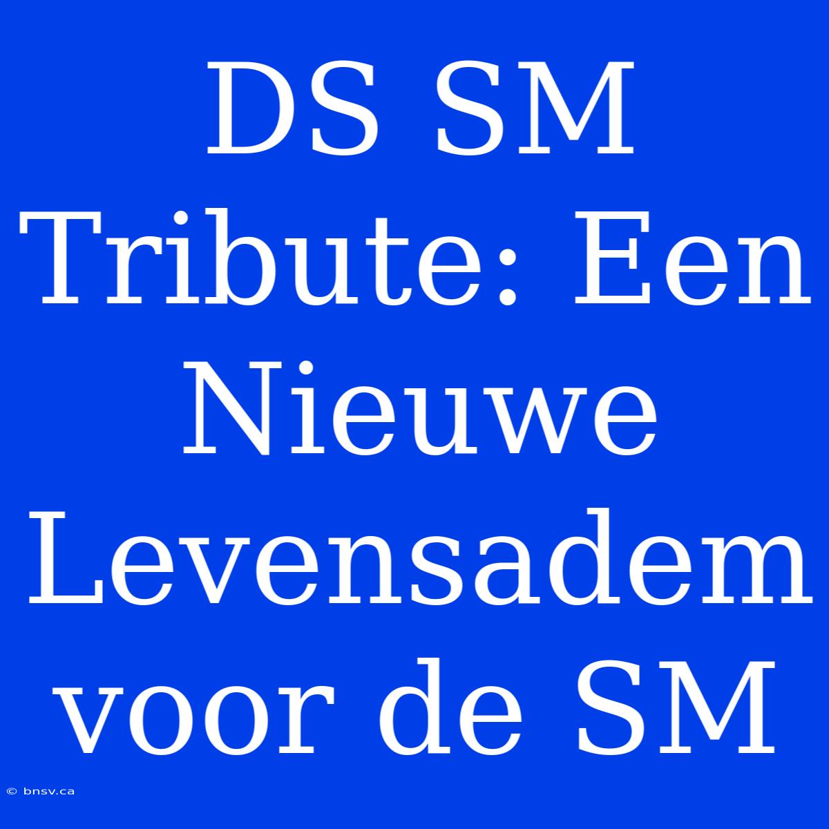 DS SM Tribute: Een Nieuwe Levensadem Voor De SM