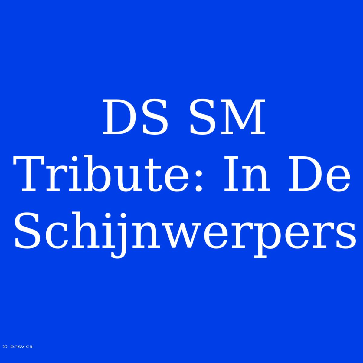 DS SM Tribute: In De Schijnwerpers