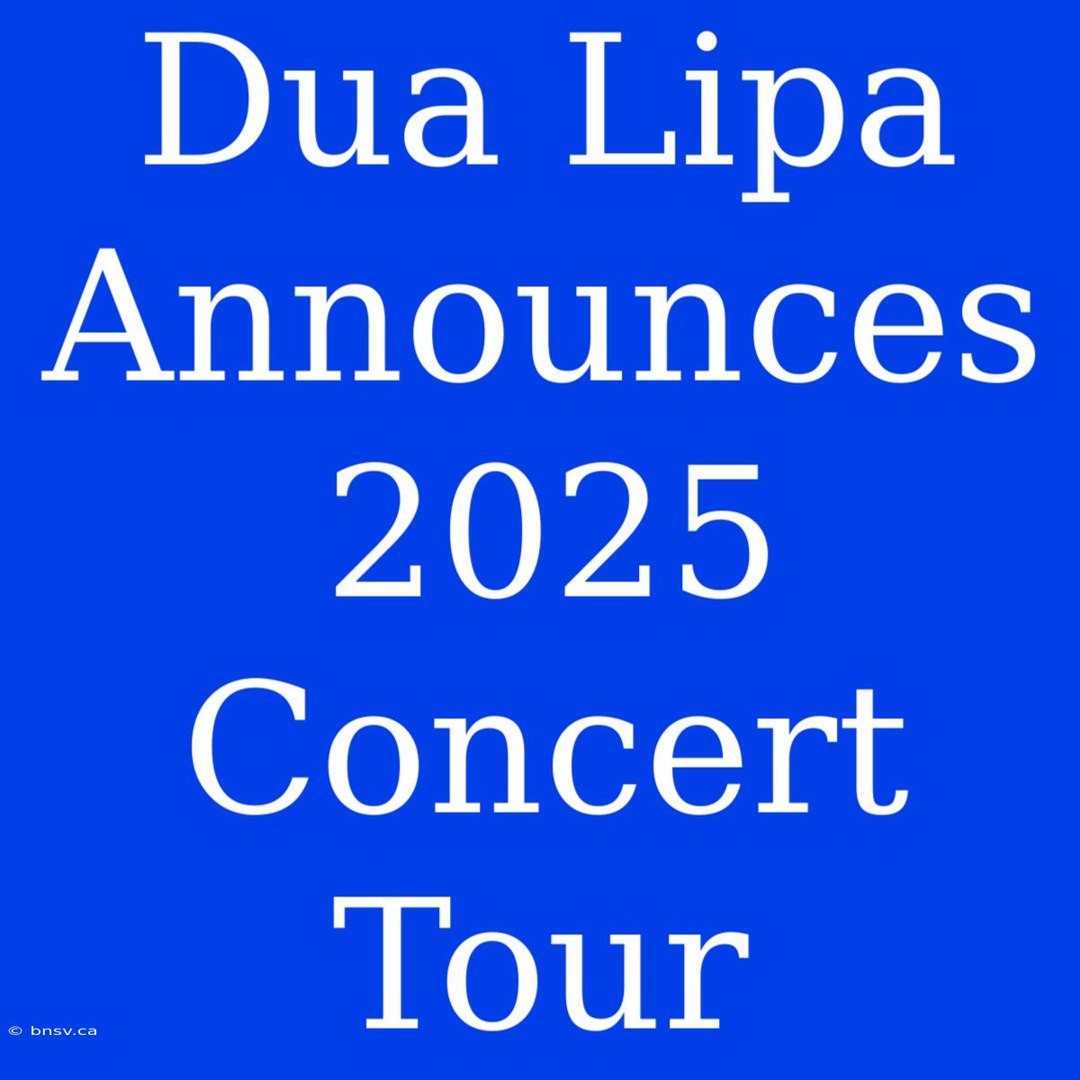 Dua Lipa Announces 2025 Concert Tour